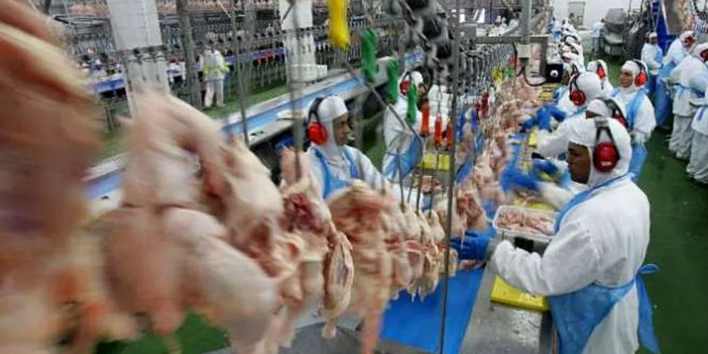 Imagem ilustrativa da imagem BRF investe R$ 300 milhões em unidade de Carambeí