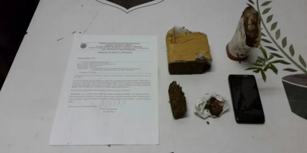 Imagem ilustrativa da imagem Polícia Civil apreende maconha e muda da droga
