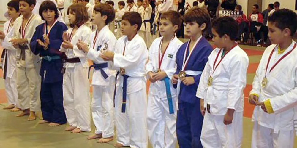 Imagem ilustrativa da imagem Rotary Jaguariaíva planeja Escola de Judô Comunitária