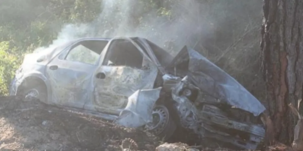 Imagem ilustrativa da imagem Carro bate em árvore na BR-277 e mulher morre na hora