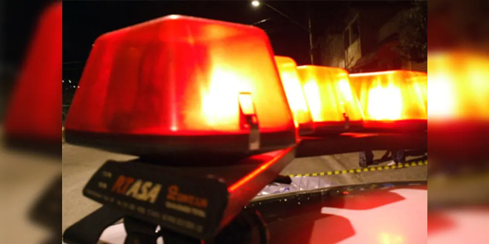 Imagem ilustrativa da imagem Homem tenta matar cadela por vingança contra vizinho