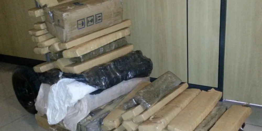 Imagem ilustrativa da imagem Polícia prende traficante com 163 kg de maconha na BR-277