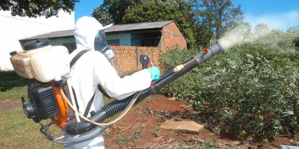 Imagem ilustrativa da imagem Risco de epidemia de dengue no Paraná preocupa MP