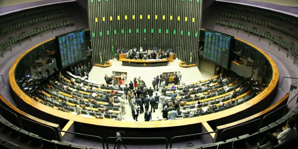 Imagem ilustrativa da imagem Participação de mulheres na política encolhe nestas eleições