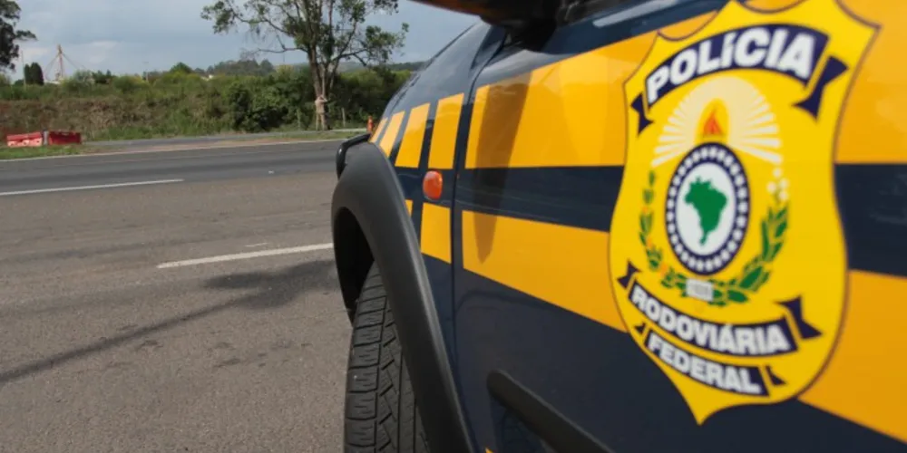 Imagem ilustrativa da imagem Bandidos tentam assaltar ônibus na BR-277 e motorista foge