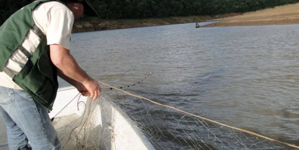 Imagem ilustrativa da imagem Restrição à pesca de espécies nativas começa neste sábado