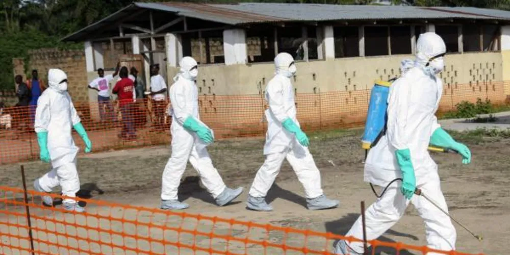 Imagem ilustrativa da imagem Testes de vacinas contra o ebola devem começar em dezembro
