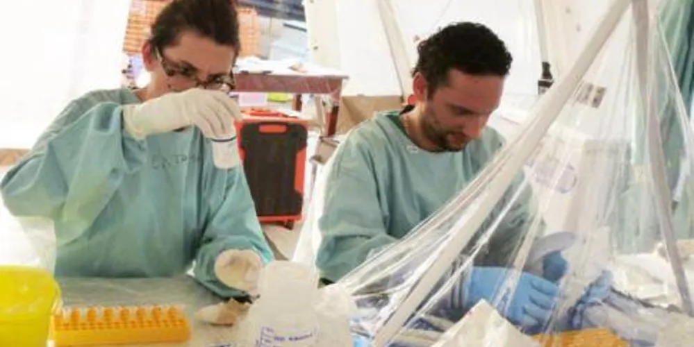 Imagem ilustrativa da imagem Ebola: testes de vacina experimental começam esta semana