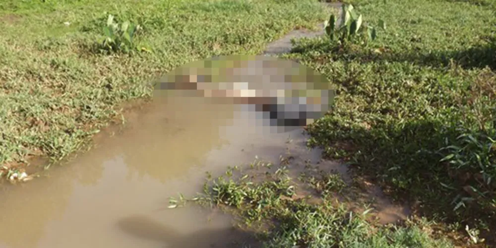 Imagem ilustrativa da imagem Homem é degolado e abandonado em córrego