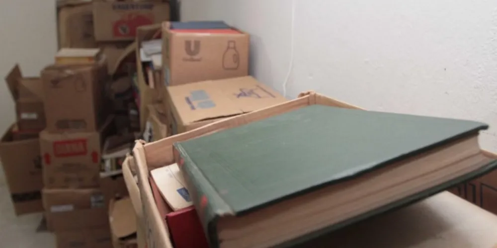 Imagem ilustrativa da imagem Sindicância sobre fungos em livros completa um ano