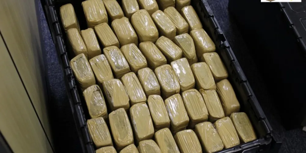 Imagem ilustrativa da imagem Força tarefa prende traficante com 185 kg de maconha