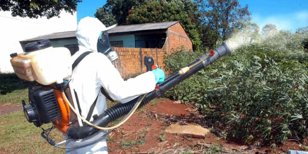 Imagem ilustrativa da imagem Novo boletim detalha situação da dengue no Paraná