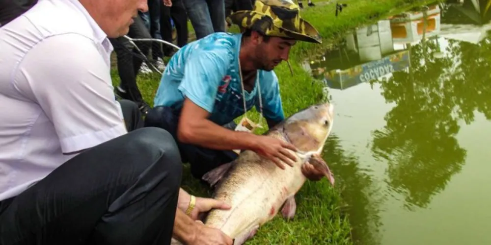 Imagem ilustrativa da imagem Festa do Pêssego de Irati terá Concurso de Pesca no Lago