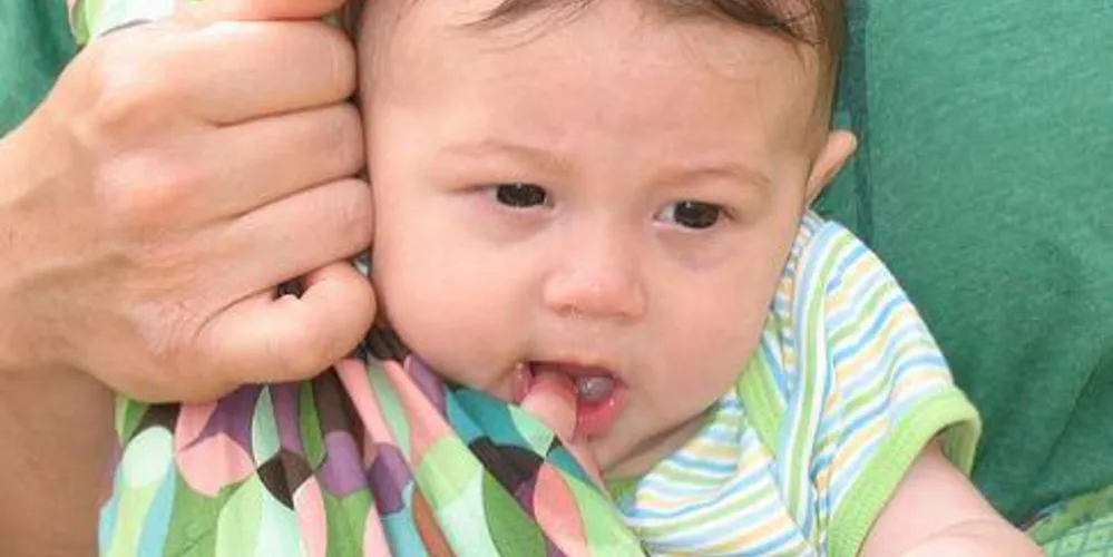 Imagem ilustrativa da imagem Quando o bebê pode passear?