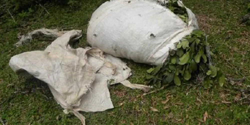 Imagem ilustrativa da imagem PM aprende 700 kg de erva-mate em Irati