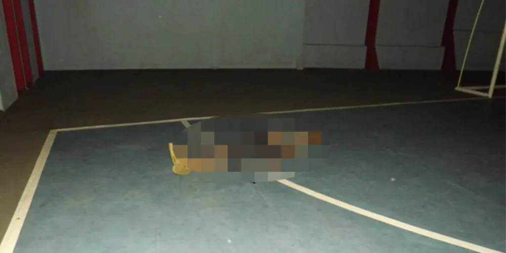Imagem ilustrativa da imagem Rapaz é assassinado com tiros nas costas em Telêmaco