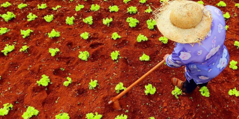 Imagem ilustrativa da imagem Fotógrafo do JM conquista prêmio da AMCG