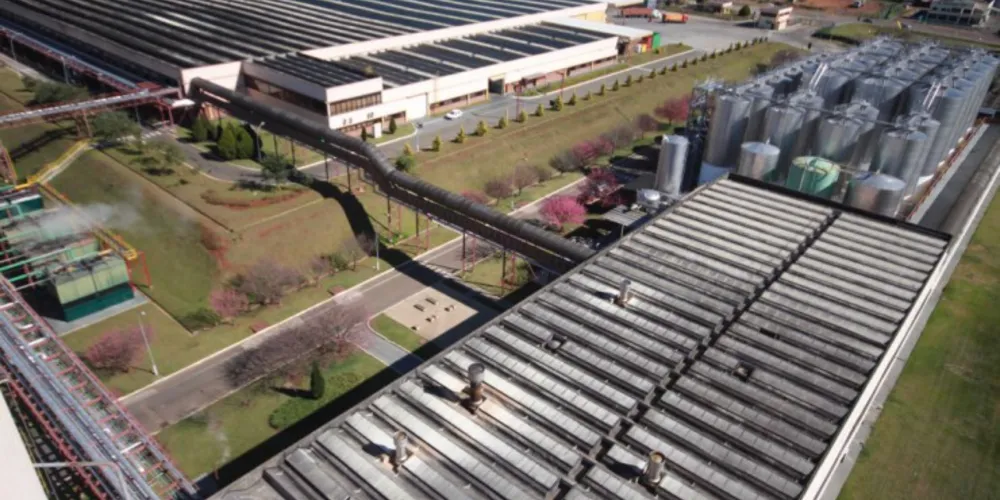 Imagem ilustrativa da imagem Heineken construirá nova fábrica de R$ 241 mi em PG