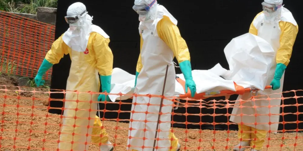 Imagem ilustrativa da imagem Balanço da OMS aponta mais de 7 mil mortos por ebola na África