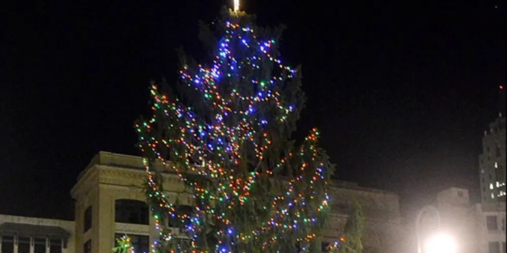 Imagem ilustrativa da imagem Árvore de Natal ‘feia’ é retirada de cidade nos EUA após petição