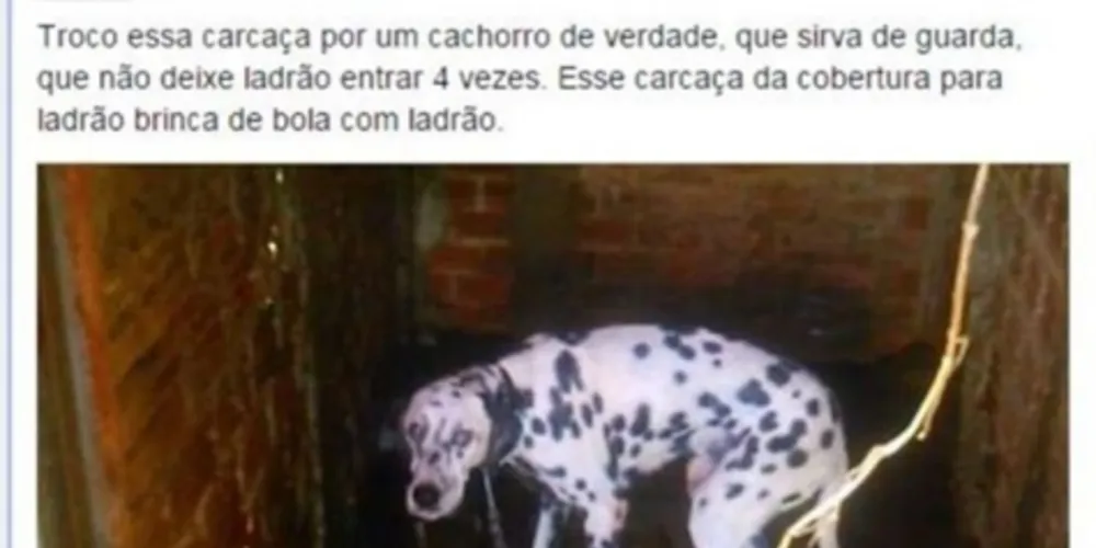 Imagem ilustrativa da imagem Polícia retira cão de dono que chamou animal de ‘carcaça’