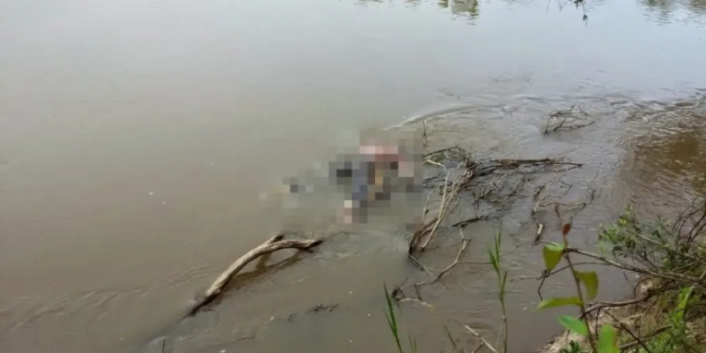 Imagem ilustrativa da imagem Morador encontra corpo em decomposição no Rio Iguaçu