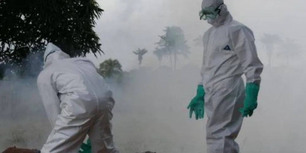Imagem ilustrativa da imagem Brasil doa R$ 25 milhões para combate ao ebola