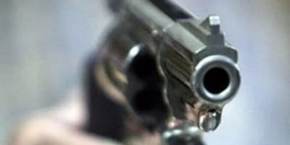 Imagem ilustrativa da imagem ONGs querem derrubar projeto que revoga 'Desarmamento'
