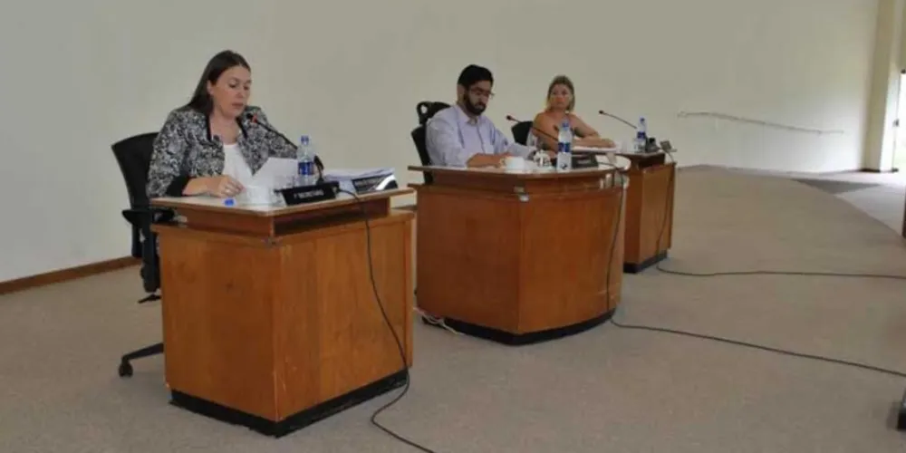 Imagem ilustrativa da imagem Câmara de Castro elege comissões na primeira sessão