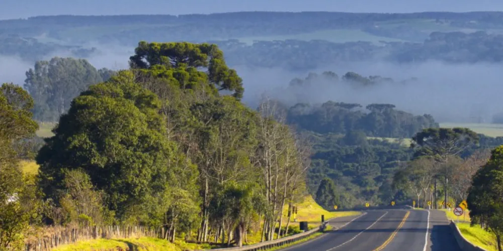 Imagem ilustrativa da imagem Caminhoneiro é feito refém por ladrões na BR-376