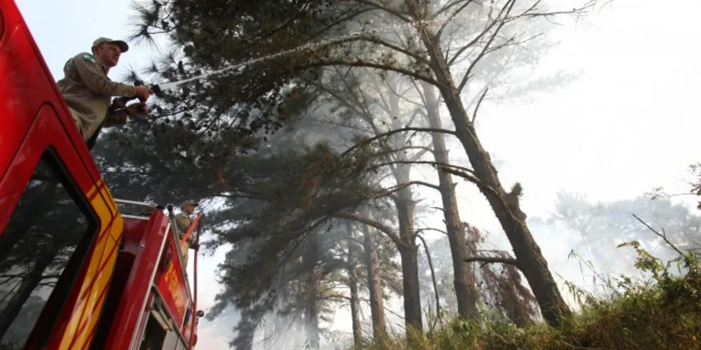 Imagem ilustrativa da imagem Incêndio destrói ervateira em São Mateus do Sul