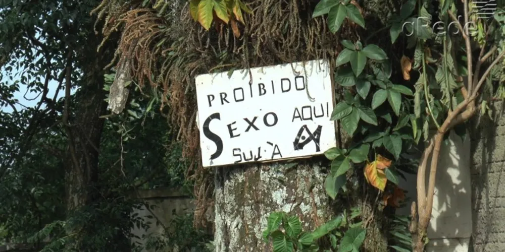 Imagem ilustrativa da imagem Placa 'proíbe' sexo em via pública na Ronda