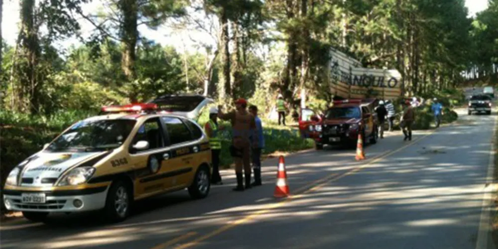 Imagem ilustrativa da imagem Caminhão bate contra árvores e motorista morre em Reserva