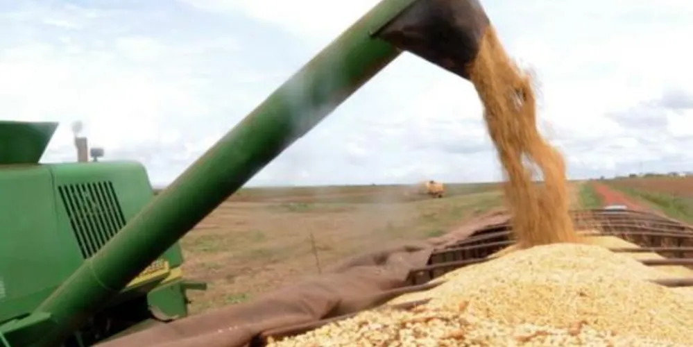 Imagem ilustrativa da imagem IBGE confirma expectativa de safra recorde em 2014