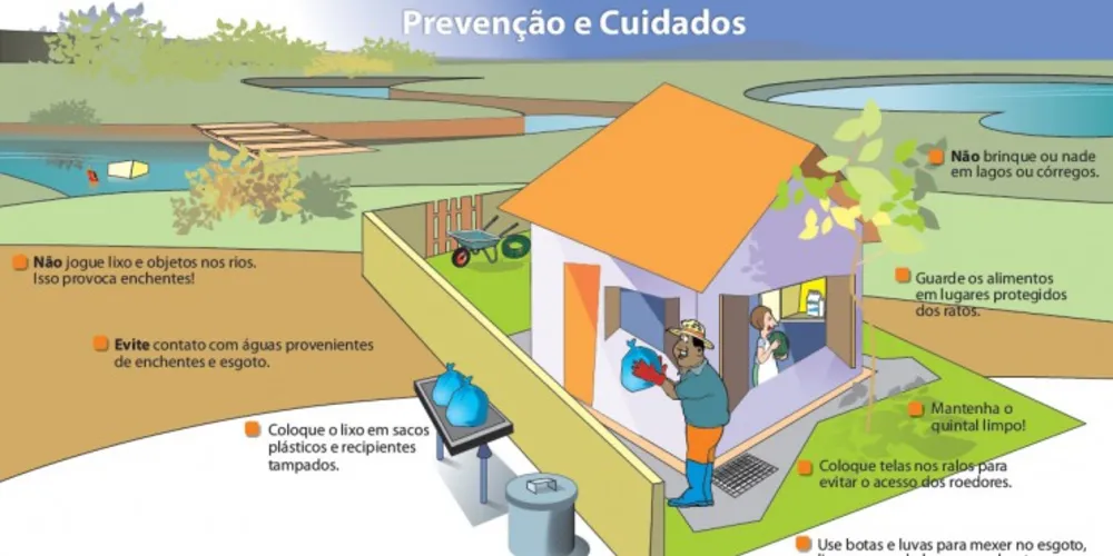 Imagem ilustrativa da imagem Período de chuvas aumenta risco de leptospirose