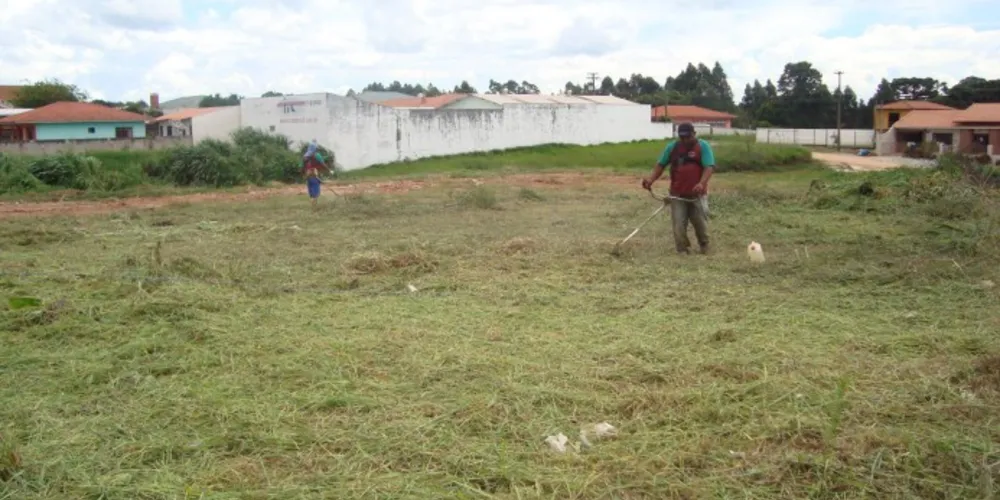 Imagem ilustrativa da imagem Prefeitura de Castro promove limpeza de terrenos baldios