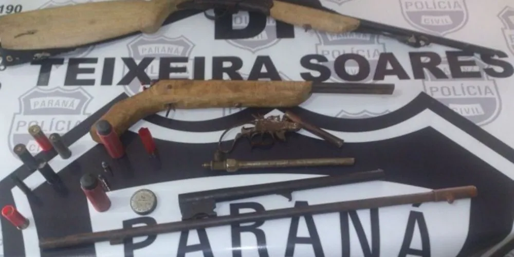 Imagem ilustrativa da imagem Policiais de Teixeira Soares apreendem armas e carro