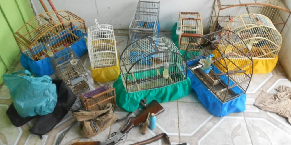 Imagem ilustrativa da imagem Polícia Ambiental apreende 14 aves silvestres em Imbituva