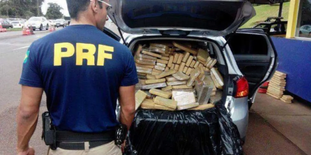 Imagem ilustrativa da imagem PRF realiza apreensão recorde de maconha no Paraná