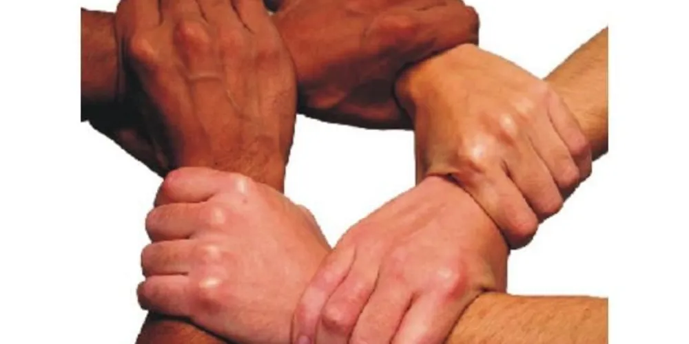 Imagem ilustrativa da imagem Programa 'Pemse' atende cerca de 300 pessoas em PG