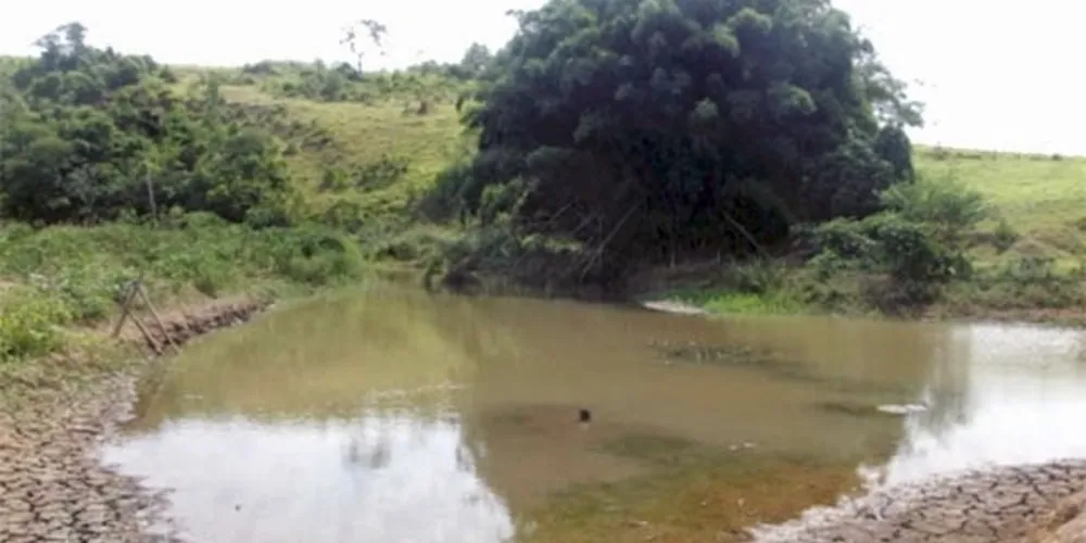 Imagem ilustrativa da imagem Falta de água faz cidades mineiras cancelarem carnaval