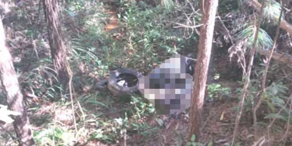 Imagem ilustrativa da imagem Adolescente é morto com requintes de crueldade