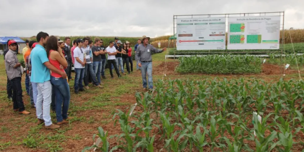 Imagem ilustrativa da imagem Dia de Campo Cescage difunde tecnologias