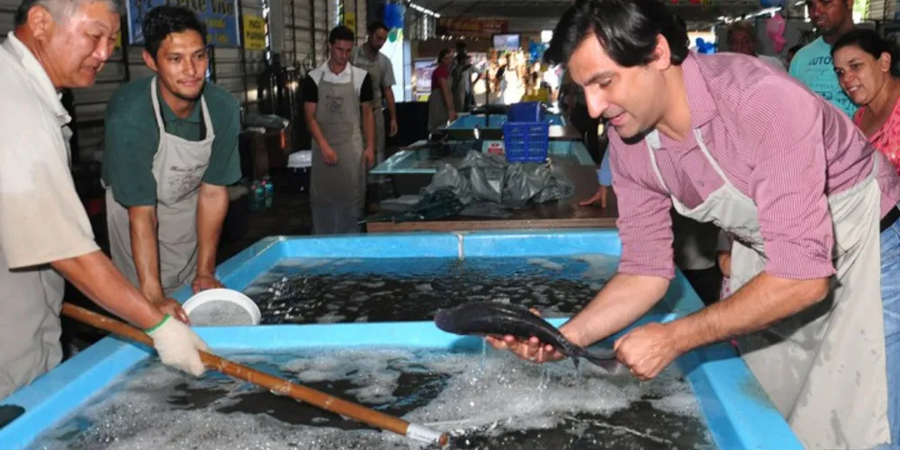 Imagem ilustrativa da imagem Feira do Peixe deve movimentar mil pessoas por dia