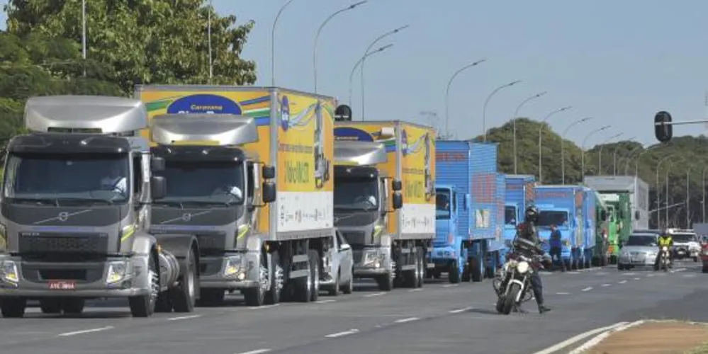 Imagem ilustrativa da imagem Bloqueio de rodovias prejudica produção de aves e suínos