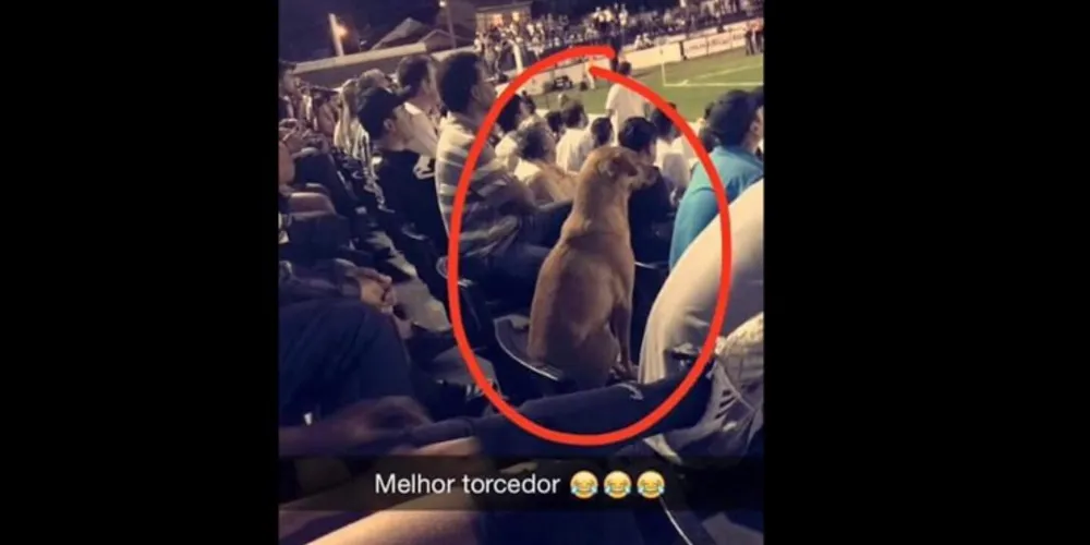 Imagem ilustrativa da imagem Torcedor "vip" chama a atenção no Germano Krüguer