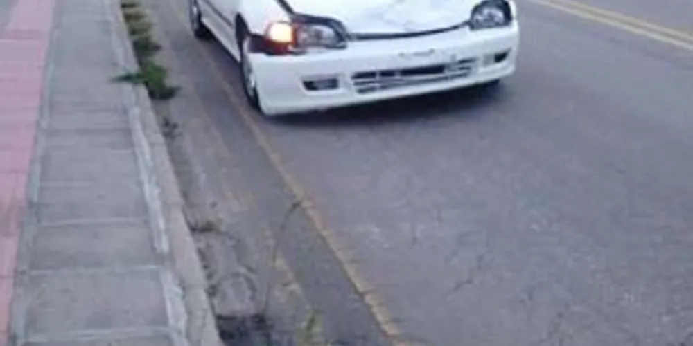 Imagem ilustrativa da imagem Jovem que estaria atrás de pipa morre atropelado em avenida
