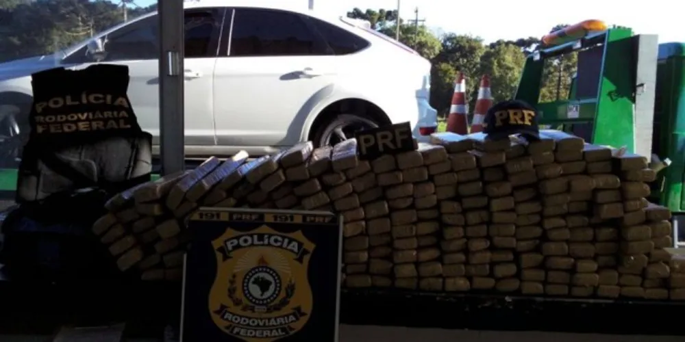 Imagem ilustrativa da imagem PRF apreende 233 kg de maconha em Guarapuava