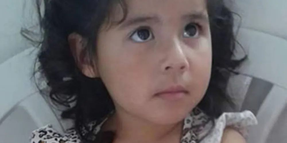 Imagem ilustrativa da imagem Menina atingida por TV morre após 10 dias internada