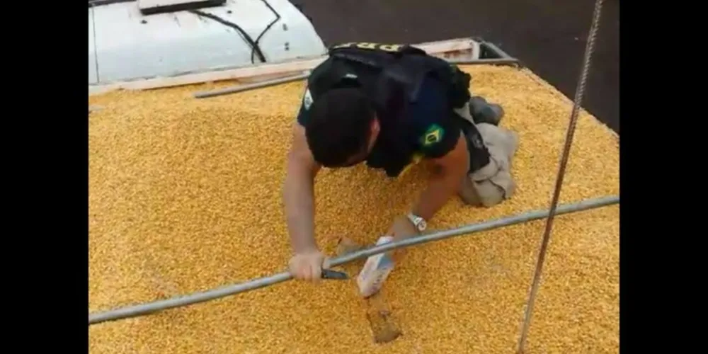 Imagem ilustrativa da imagem Carreta carregada com milho encobria 500 mil maços de cigarro